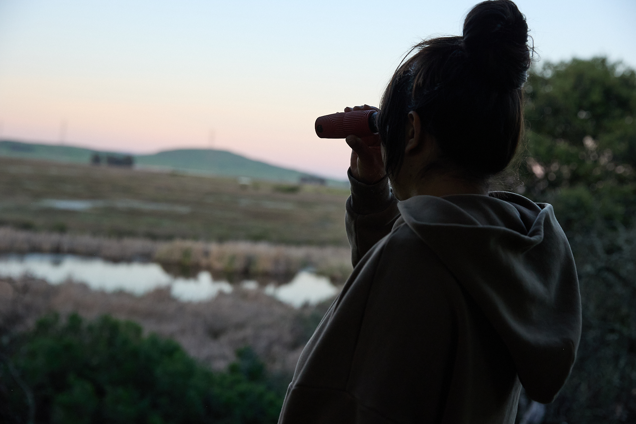 Bird watching over wetlands at dusk