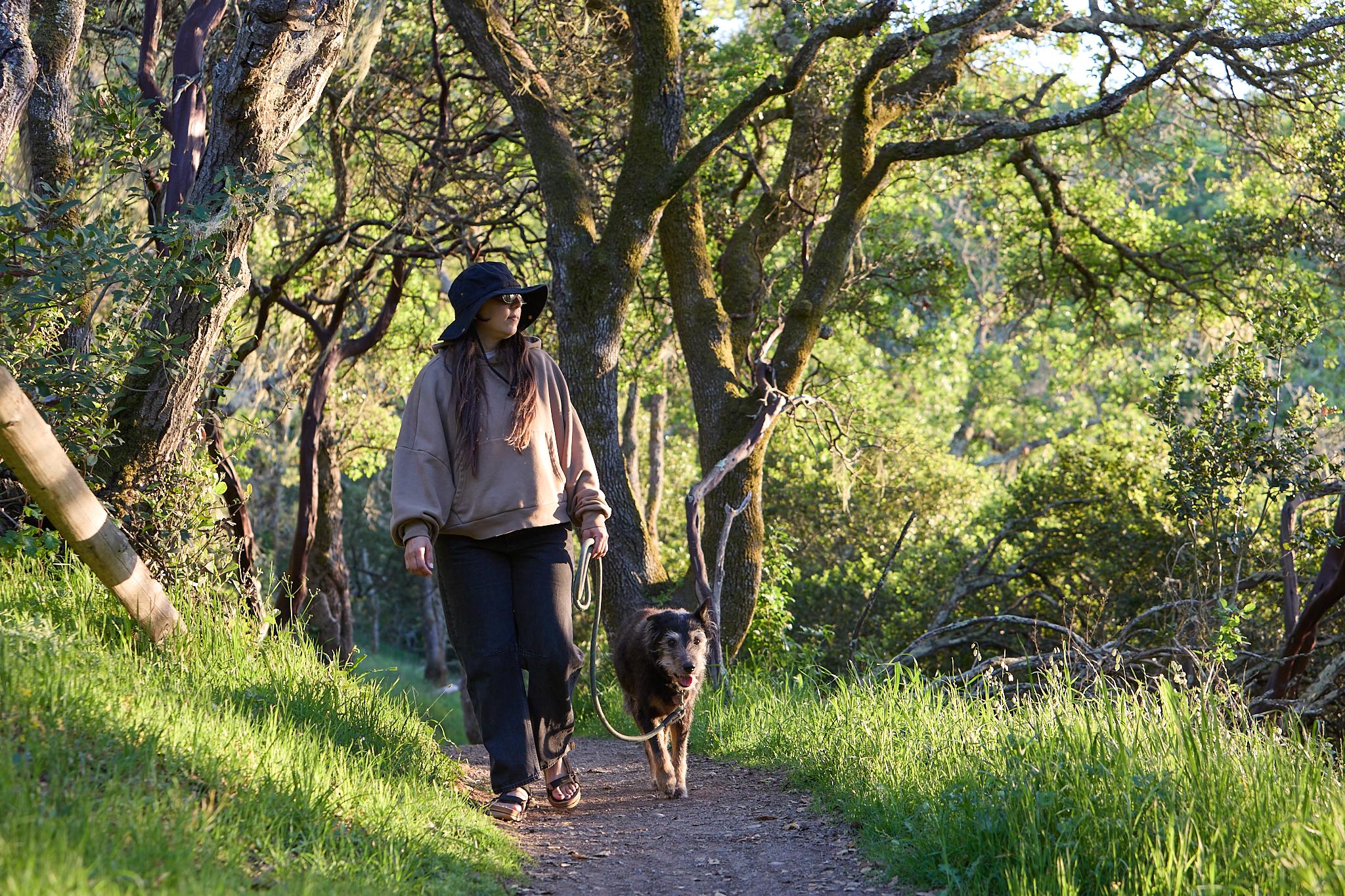Woman and dog on trail through oaks